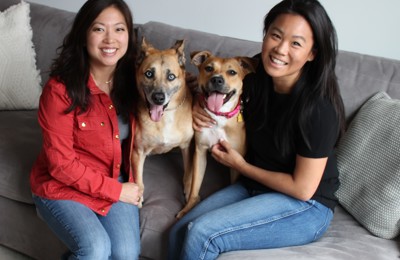 Caring for rescue dogs led 2 women to create supplements for them, and to launch a company